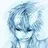 Flash090